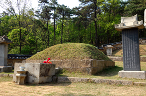 경기도 기념물 제23호. 경기도 고양시 덕양구 대자동에 있다. 봉분은 단분으로 부인 문화유씨와의 합장묘이며,